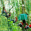 Treetop Quest