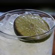 La Revolucion Taqueria y Cantina