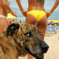 Thrillist's Beach Do's + Don'ts
