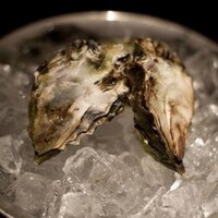 The School of Sip and Shuck